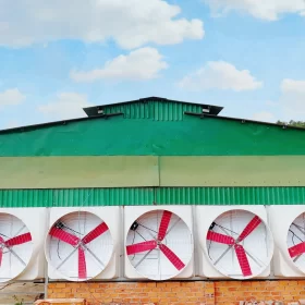 Quạt công nghiệp composite 49 Quạt công nghiệp Composite